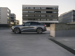 
										Audi Q6 Sportback e-tron performance full									