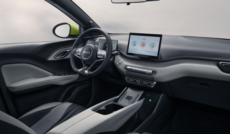 
								BYD DOLPHIN SURF Active full									