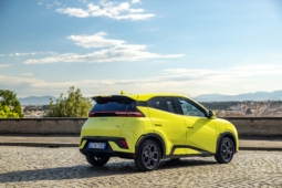
										BYD DOLPHIN SURF Active full									