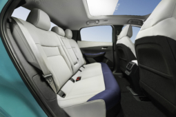 
										Nissan LEAF 75 kWh full									