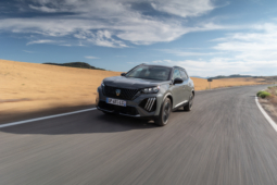 
										Peugeot E-2008 156 full									