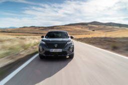 
										Peugeot E-2008 156 full									