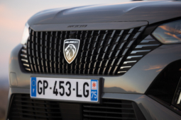 
										Peugeot E-2008 156 full									