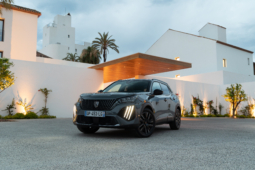 Peugeot E-2008 156