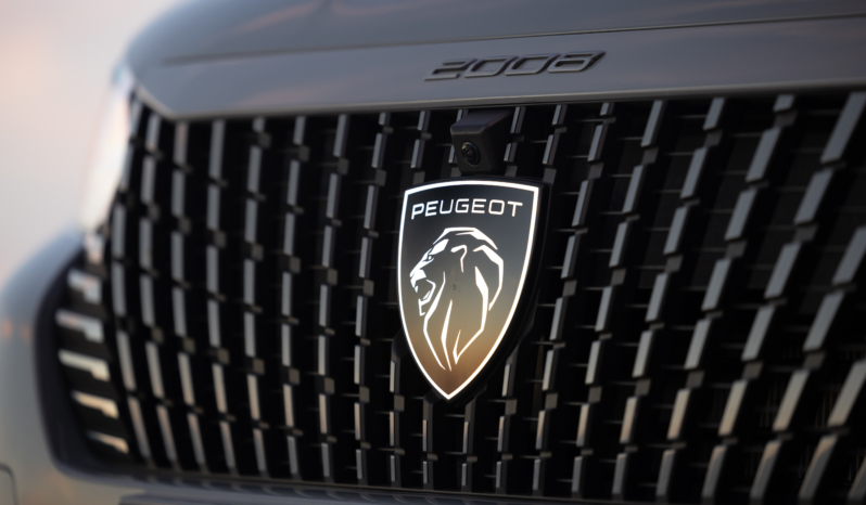 
								Peugeot E-2008 156 full									