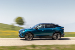 
										Peugeot E-3008 210 full									