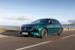 
										Peugeot E-308 156 full									