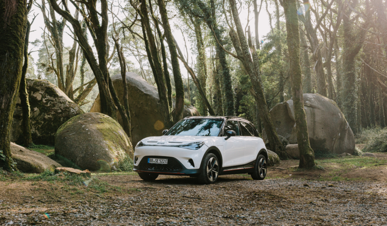 
								smart #1 Pulse full									