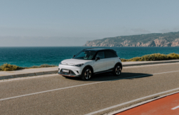 smart #1 Pulse